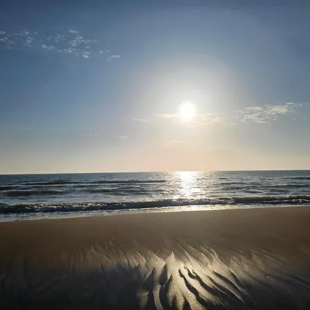 Apartamentai Vilma * Palanga